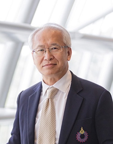 兰实大学外交学院院长 — 原驻柬埔寨、匈牙利大使